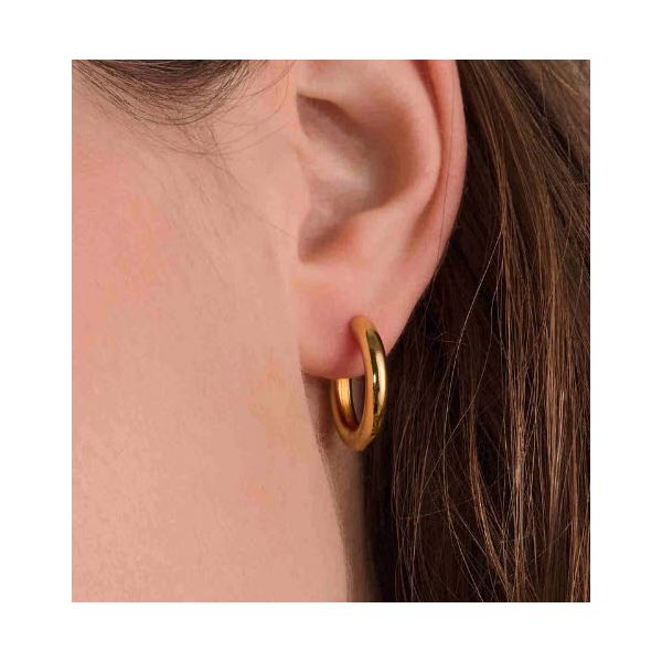 Earring Image 2 Skaneateles Jewelry Skaneateles, NY