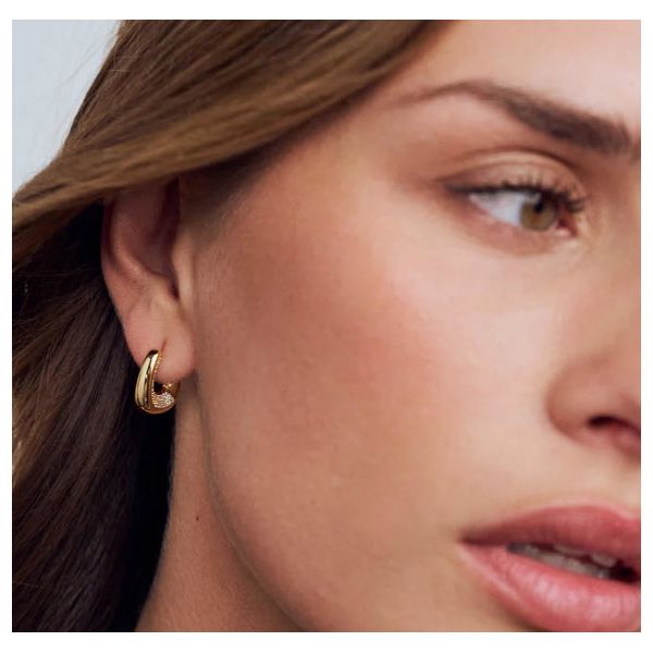 Earring Image 2 Skaneateles Jewelry Skaneateles, NY