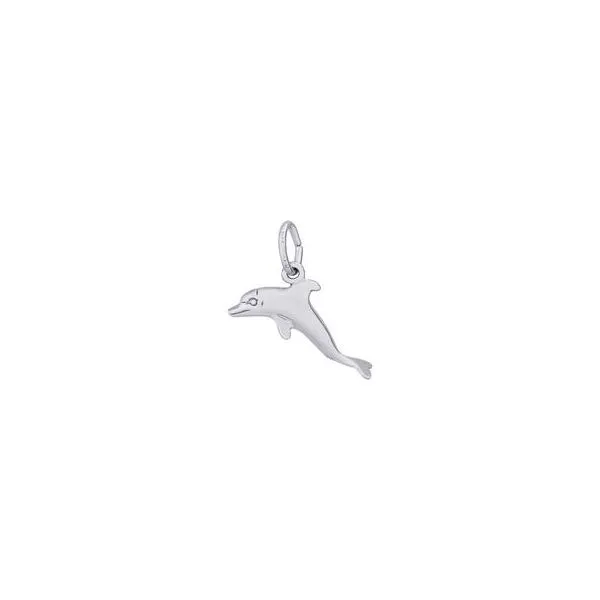 SS Dolphin Charm Skaneateles Jewelry Skaneateles, NY