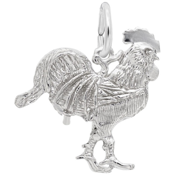 Silver Charm Coats Jewelers Cleveland, TX