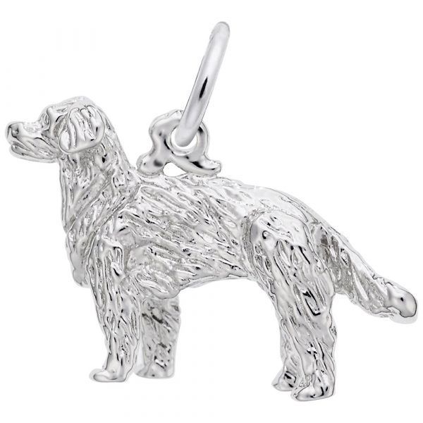 Silver Charms/Pendant Coats Jewelers Cleveland, TX