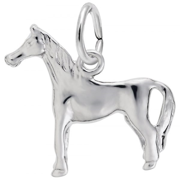 Silver Charms/Pendant Coats Jewelers Cleveland, TX
