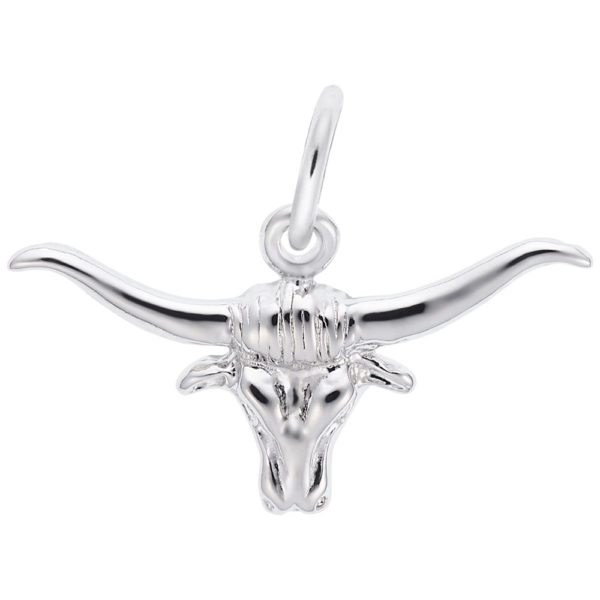 Silver Charms/Pendant Coats Jewelers Cleveland, TX