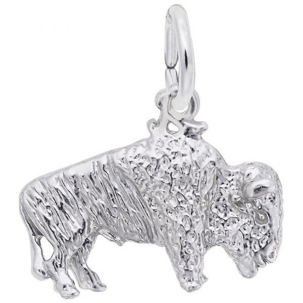 Silver Charms/Pendant Coats Jewelers Cleveland, TX
