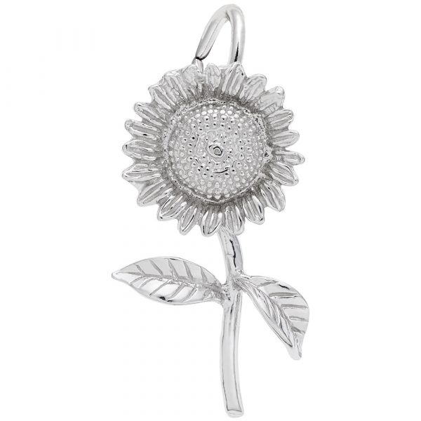 Silver Charms/Pendant Coats Jewelers Cleveland, TX