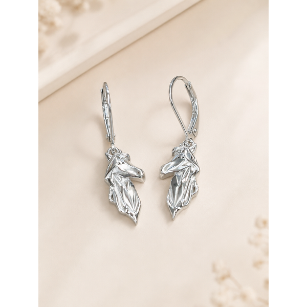 Silver Earring Coats Jewelers Cleveland, TX