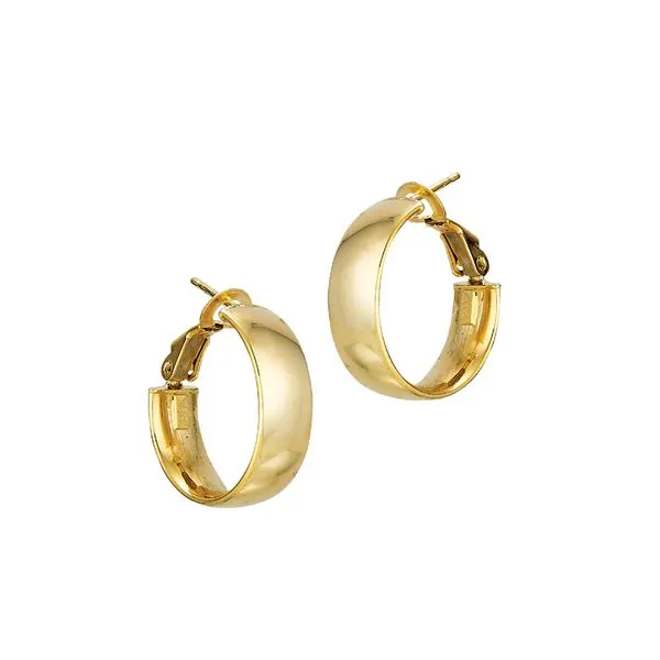 Gold Earrings Collier's Jewelers Whiteville, NC