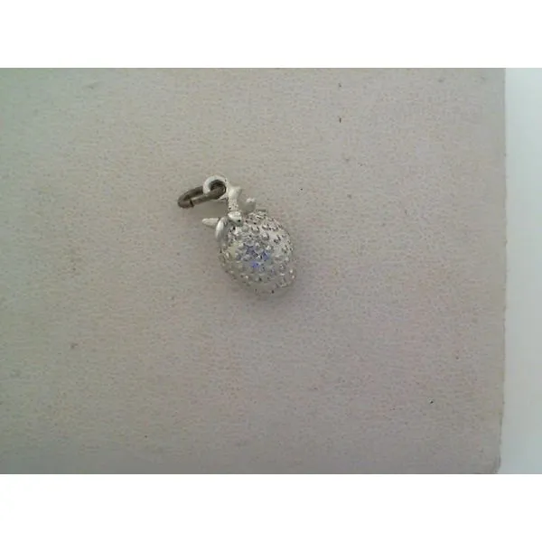 Sterling Silver Charm Collier's Jewelers Whiteville, NC