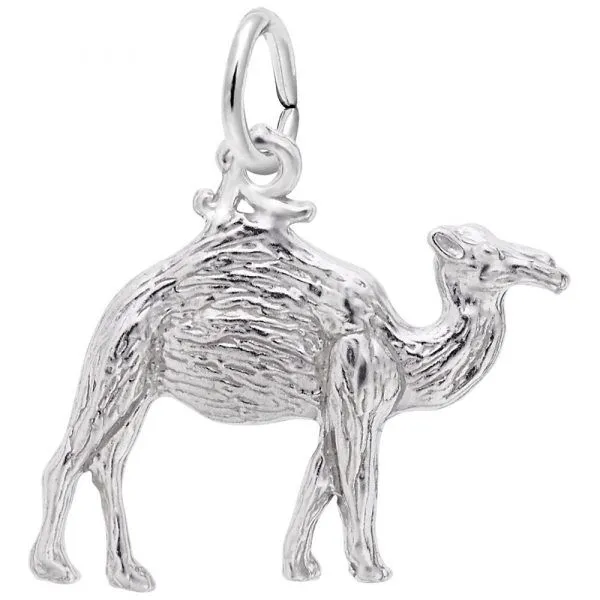 Sterling Silver Charm Collier's Jewelers Whiteville, NC