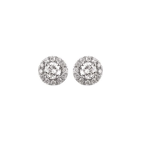 14K White Gold Lab Grown Diamond Halo Style Stud Earrings Confer’s Jewelers Bellefonte, PA