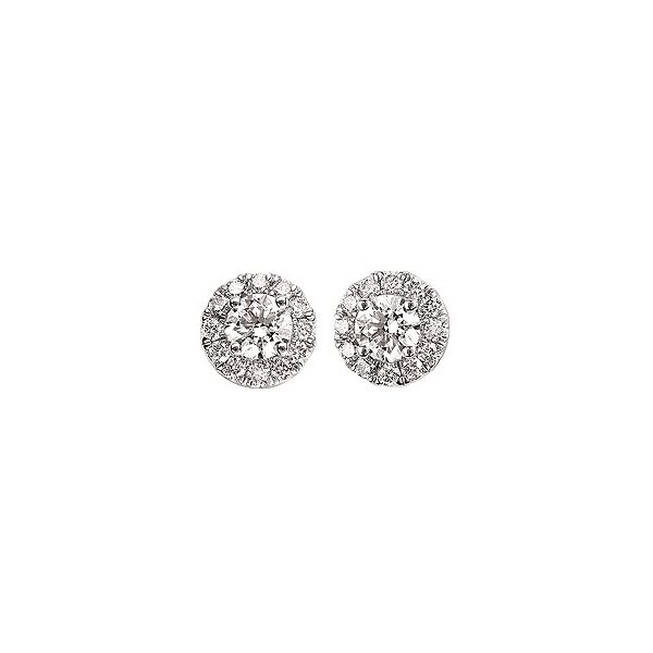 14 Karat White Gold Lab Grown Diamond Cluster Stud Earrings Confer’s Jewelers Bellefonte, PA