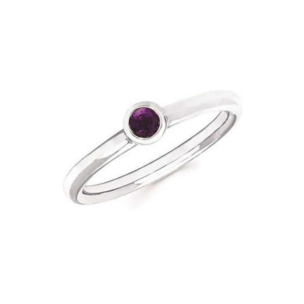 10K White Gold Birthstone Ring - February Confer’s Jewelers Bellefonte, PA