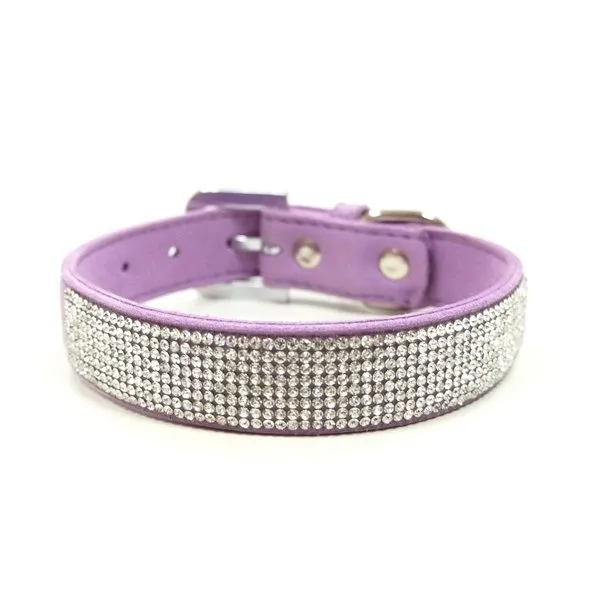 Vip Bling Collar - Small Purple Confer’s Jewelers Bellefonte, PA