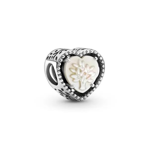 Pandora Charms Confer’s Jewelers Bellefonte, PA