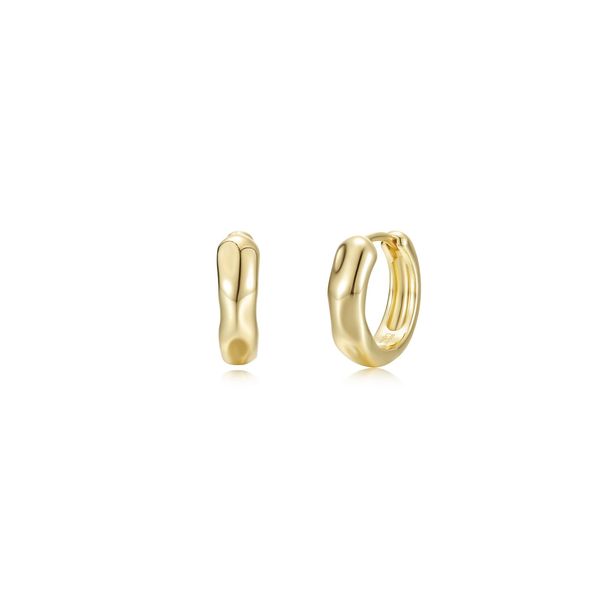 Sterling Silver Other Earrings Conti Jewelers Endwell, NY
