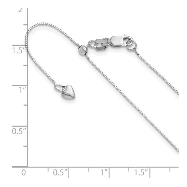 .55mm Baby Box Chain in 14k White Gold, 22" Image 2 Conti Jewelers Endwell, NY