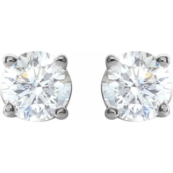 1/2cttw Natural Diamond Studs in 14k White Gold Image 2 Conti Jewelers Endwell, NY