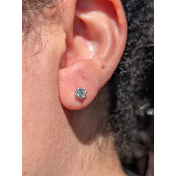 1/2cttw Natural Diamond Studs in 14k White Gold Image 3 Conti Jewelers Endwell, NY