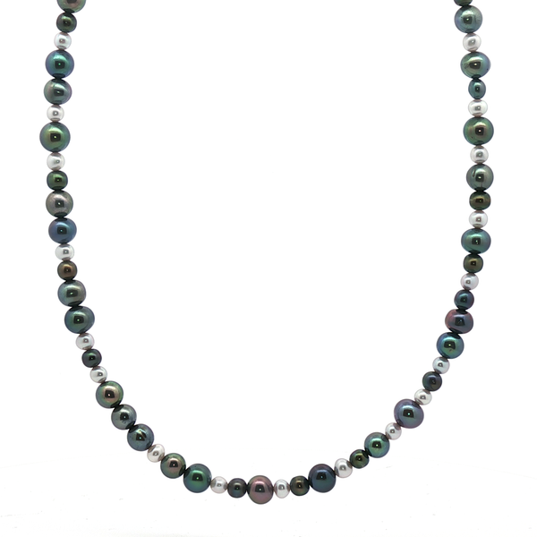 Black Fresh Water Pearl Necklace in Sterling Silver 16" Conti Jewelers Endwell, NY