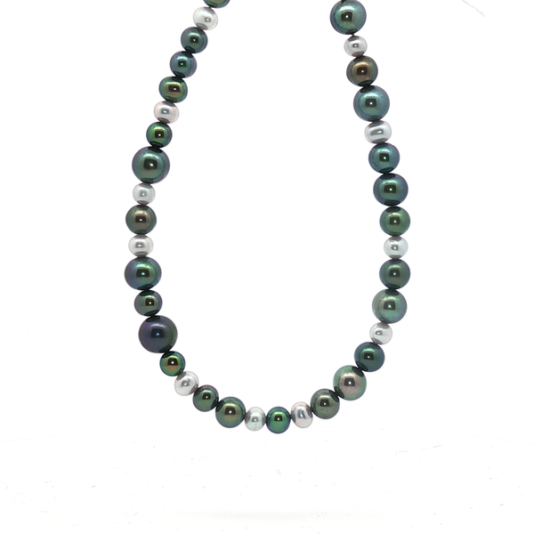 Freshwater Multi-Colored Pearl Bracelet in Sterling Silver Conti Jewelers Endwell, NY