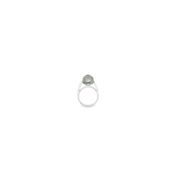 18K White Gold 10.5mm Tahitian Pearl Solitaire Ring (Size 7) Image 2 Conti Jewelers Endwell, NY