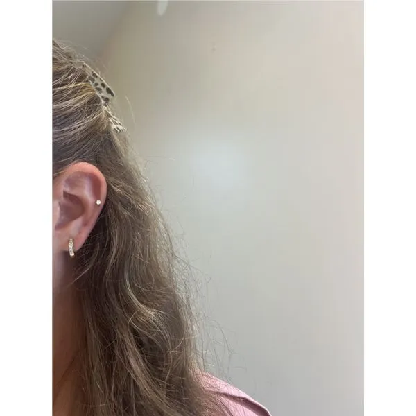 1/4 cttw Diamond Huggie Earrings in 14k Yellow Gold Image 2 Conti Jewelers Endwell, NY