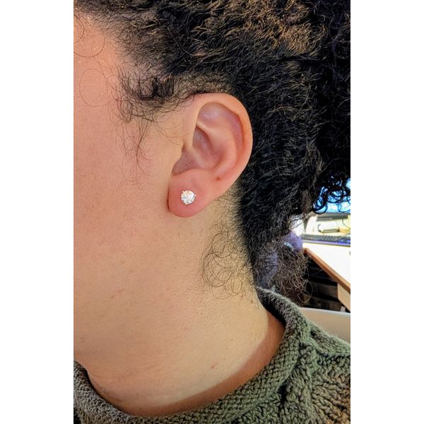 Diamond Stud Earrings in 14k White Gold Image 2 Conti Jewelers Endwell, NY