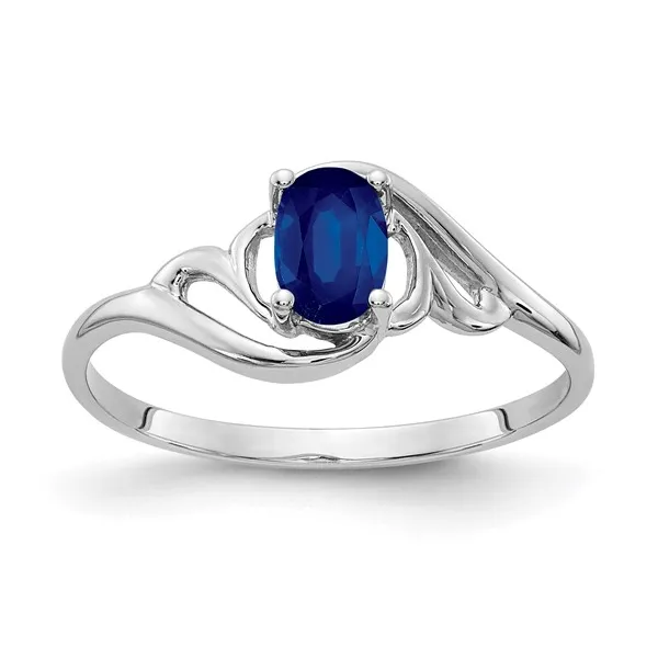 Oval Blue Sapphire Ring in 14K White Gold Conti Jewelers Endwell, NY