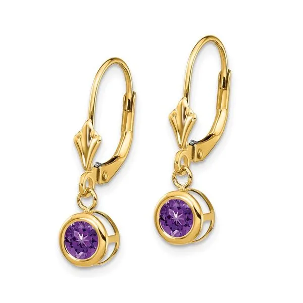 5mm Amethyst Leverback Earring in 14k Yellow Gold Image 2 Conti Jewelers Endwell, NY