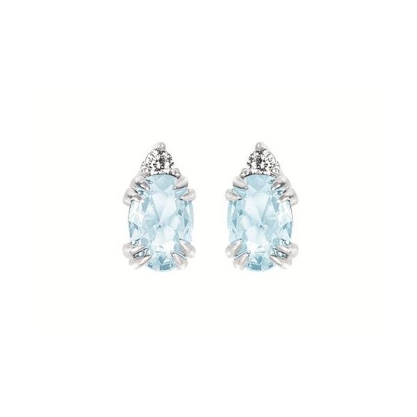 10K White Gold Other Earrings Conti Jewelers Endwell, NY