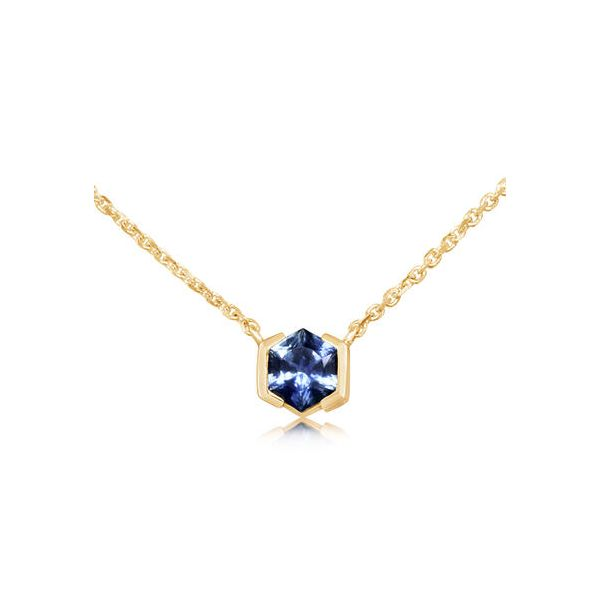 5mm Hexagon Montana Sapphire Solitaire Pendant Conti Jewelers Endwell, NY