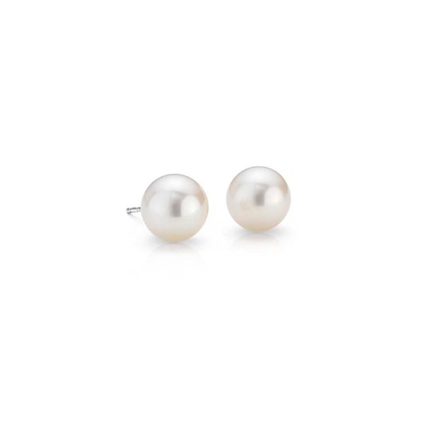 Akoya Cultured Pearl Stud Earrings in 14k White Gold (Scant 8mm) Conti Jewelers Endwell, NY