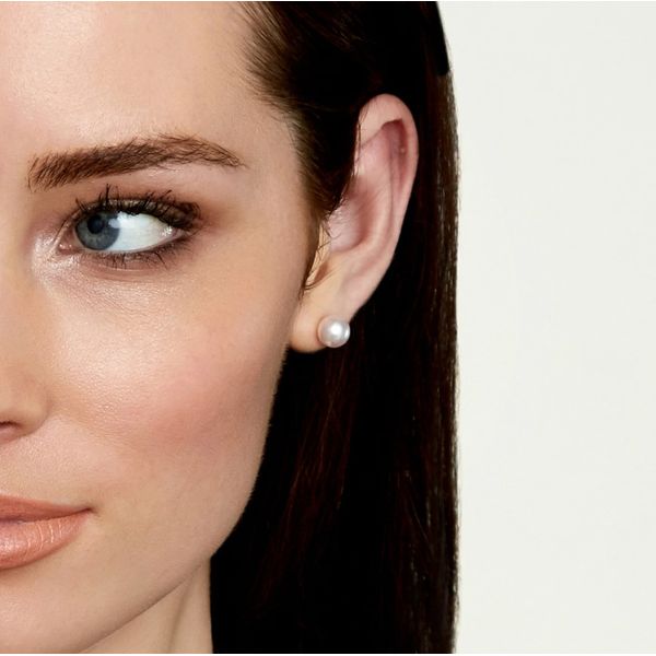 8mm White Akoya Pearl Stud Earrings in 14k Yellow Gold Image 2 Conti Jewelers Endwell, NY