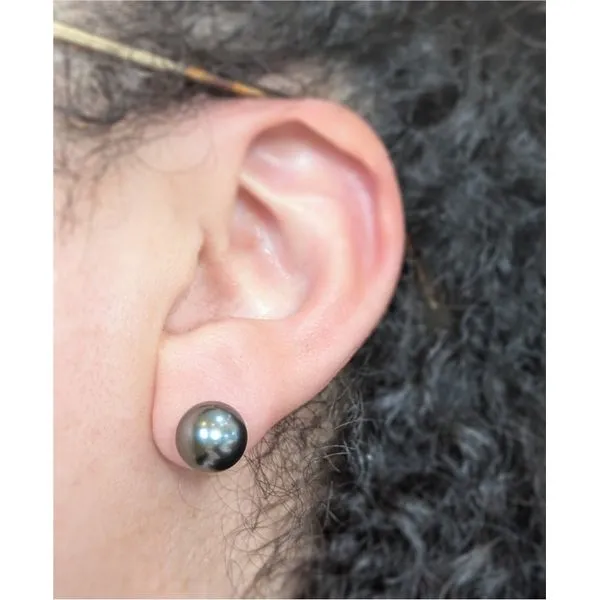 9.5mm Tahitian Pearl Stud Earrings in 14k White Gold Image 2 Conti Jewelers Endwell, NY