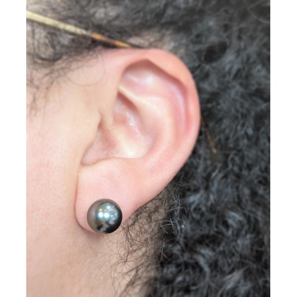 9.5mm Tahitian Pearl Stud Earrings in 14k White Gold Image 2 Conti Jewelers Endwell, NY