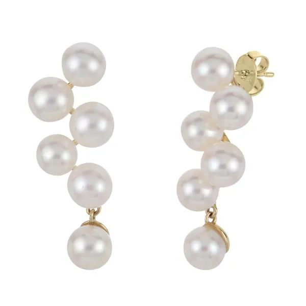 Freshwater Pearl Earrings in 14k Yellow Gold Conti Jewelers Endwell, NY