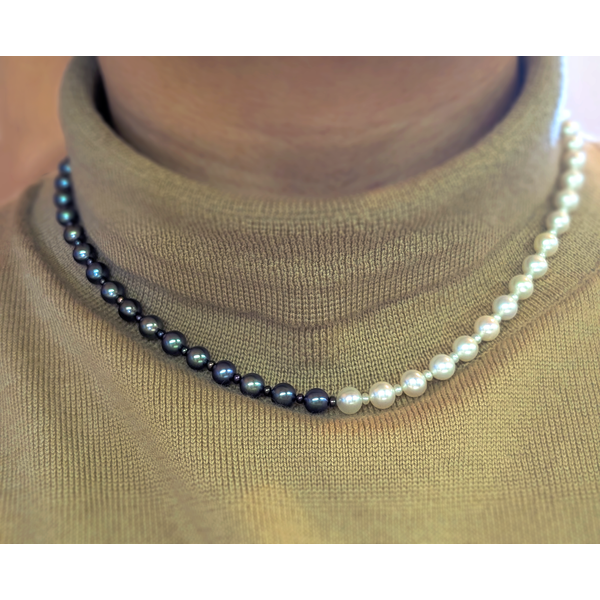 Black & White Fresh Water Pearl Half & Half Necklace in Sterling Silver Image 2 Conti Jewelers Endwell, NY
