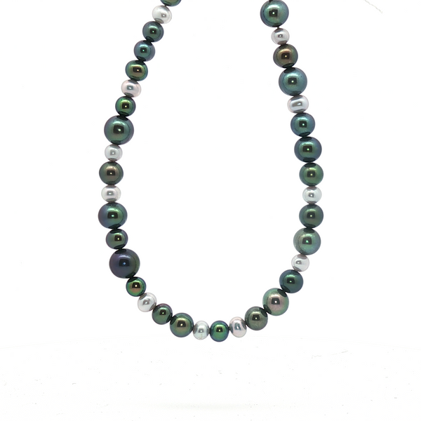 Freshwater Multi-Colored Pearl Bracelet in Sterling Silver Conti Jewelers Endwell, NY