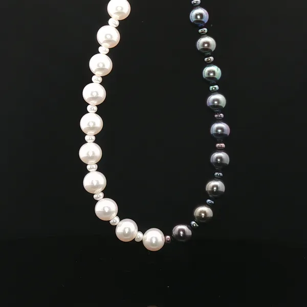 Sterling Silver Black & White Fresh Water Pearl Half & Half Bracelet Conti Jewelers Endwell, NY
