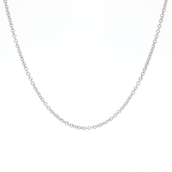 Chain Necklace in 14k White Gold 18