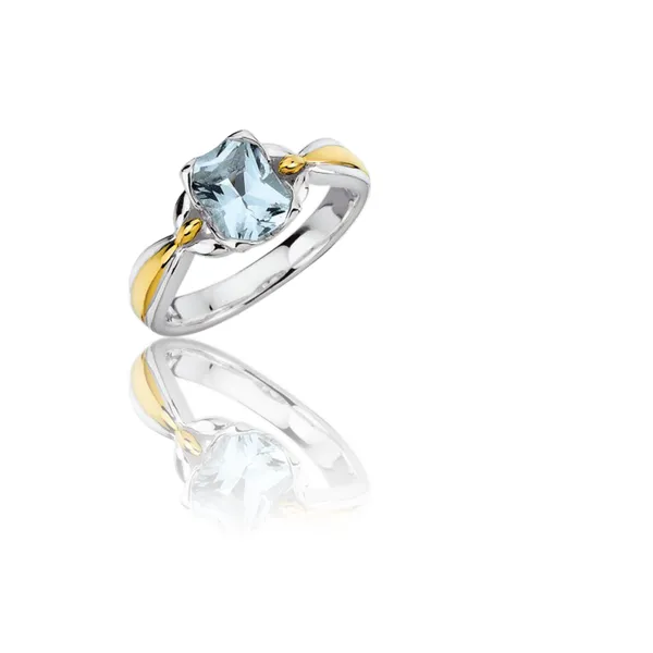 Sterling Silver & 18K Yellow Gold Aquamarine Ring Conti Jewelers Endwell, NY