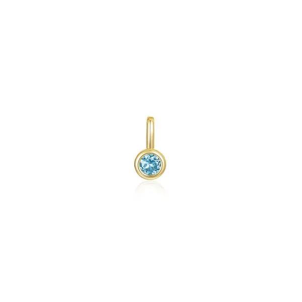 December Birthstone Charm Pendant in Yellow Gold Conti Jewelers Endwell, NY