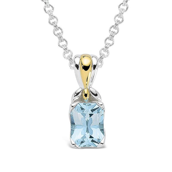 Sterling Silver Aquamarine Pendant Necklace Conti Jewelers Endwell, NY