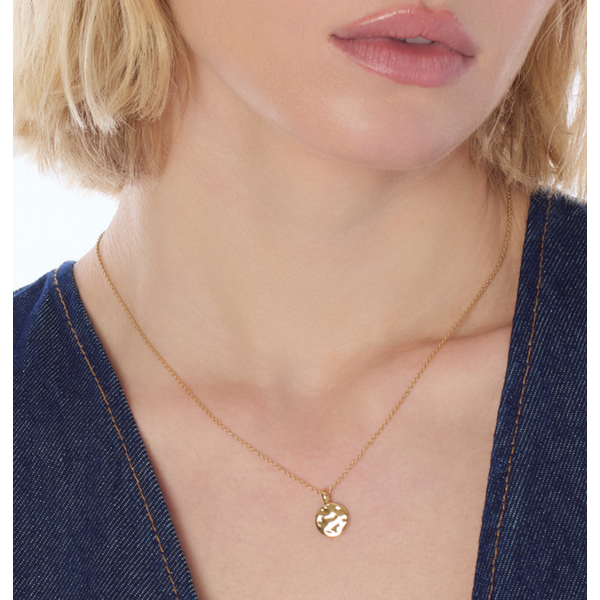 18" SS/18k Yellow Gold Plated Mirage Reflect Golden Round Disc Mini Necklace Image 2 Conti Jewelers Endwell, NY