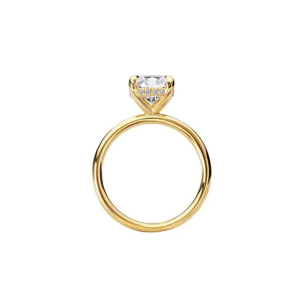 Engagement Ring Cooper Fine Jewelers Texarkana, TX