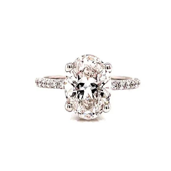 14 Karat White Gold Oval Solitaire with Hidden Diamond Halo and Diamond Shank Engagement Ring Corinth Jewelers Corinth, MS