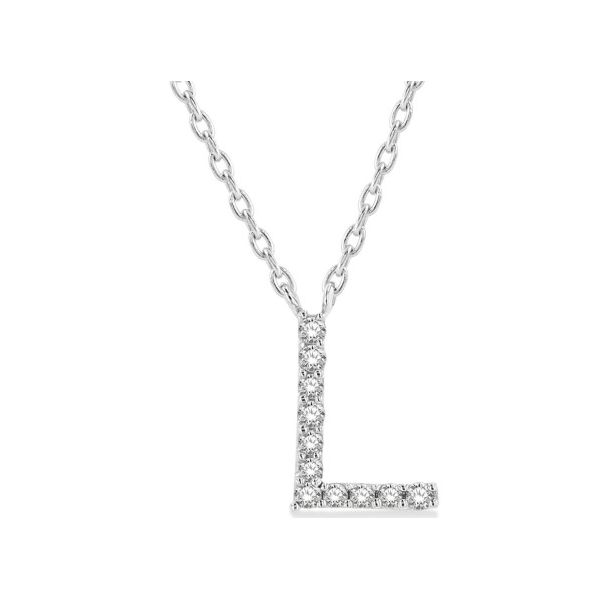 10 Karat White Gold 