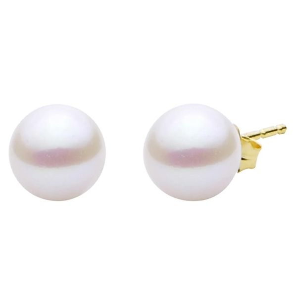 14 Karat Yellow 7 - 7.5 mm Freshwater Pearl Stud Earrings Corinth Jewelers Corinth, MS