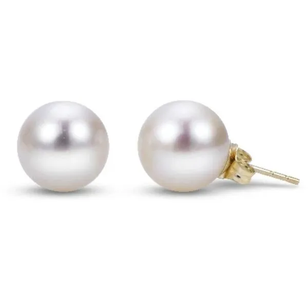 14 Karat Yellow Gold 8mm Freshwater Pearl Stud Earrings Corinth Jewelers Corinth, MS