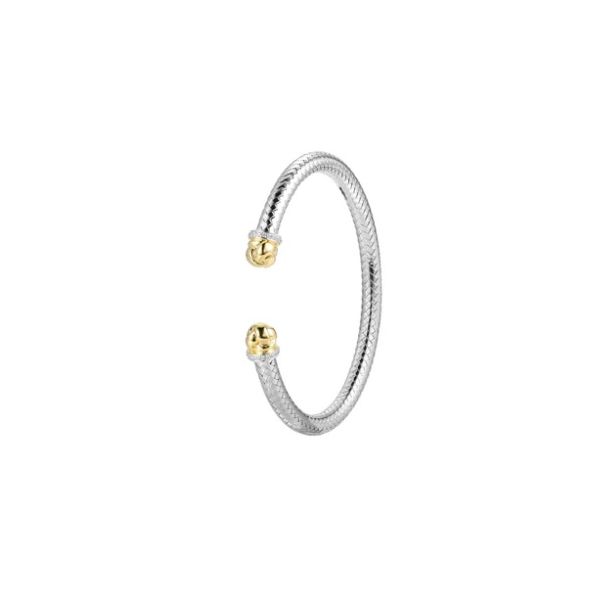 CG: Charles Garnier